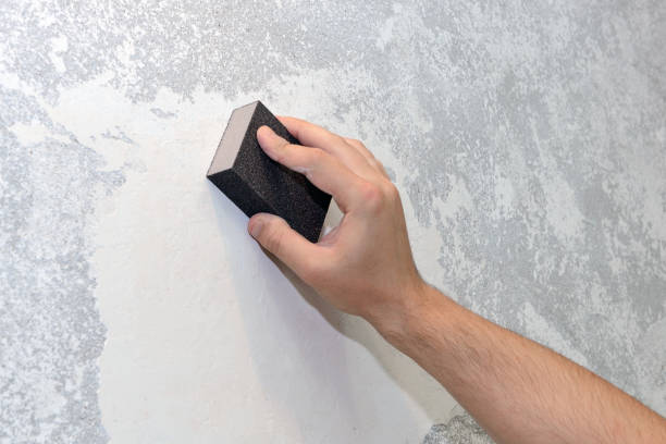 Best Forensic Mold Investigation  in Park City, TN