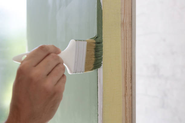 Best Black Mold Removal  in Park City, TN