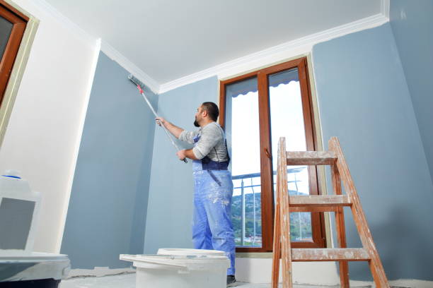 Best Mold Documentation for Insurance Claims  in Park City, TN