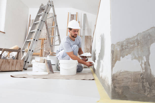 Best Mold Removal for HVAC Installations  in Park City, TN