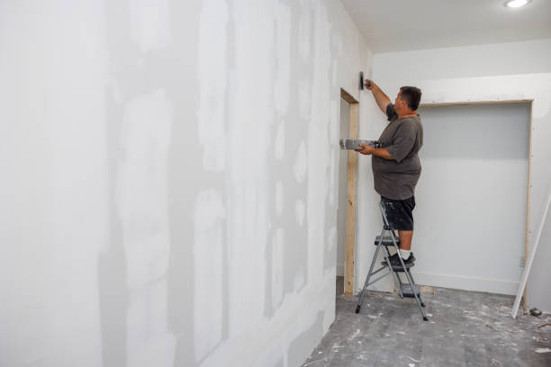 Best Crawl Space Mold Remediation  in Park City, TN