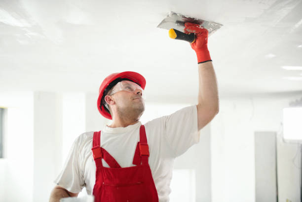 Best Mold Remediation for Healthcare Facilities  in Park City, TN