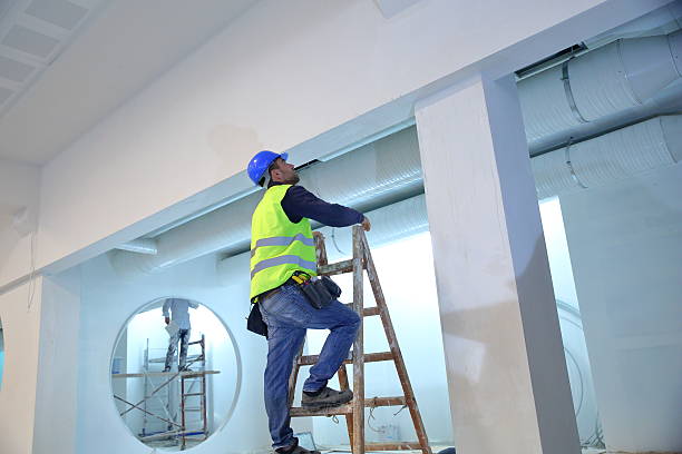 Best Real Estate Mold Inspection  in Park City, TN